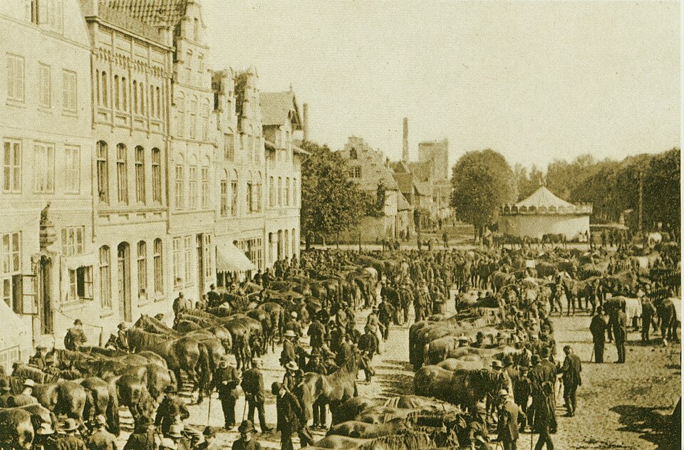 Friedrichstadt: Wd b178
