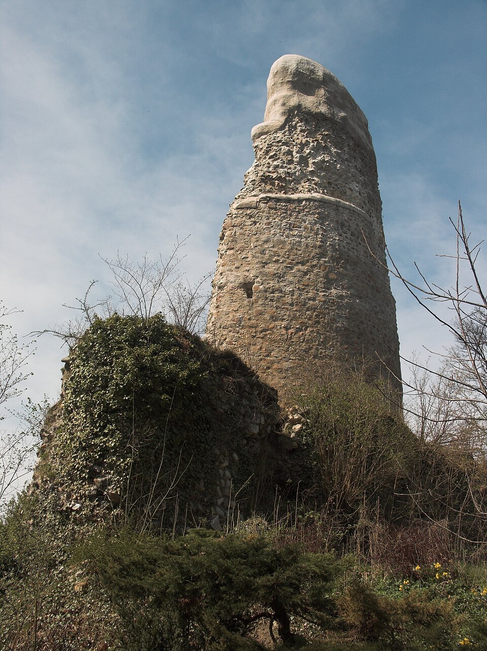 Osterode am Harz: OsterodeBurgruine