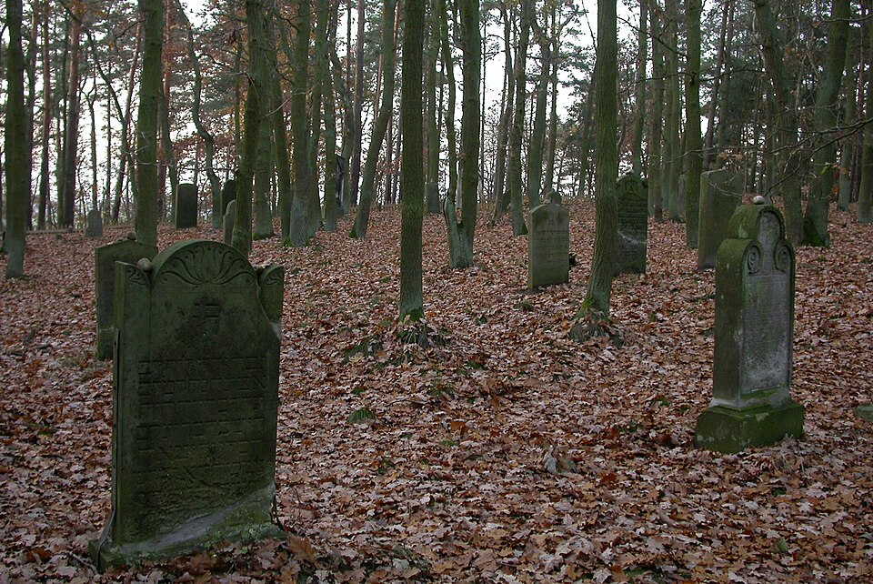 Dannenberg (Elbe): Jüdischer Friedhof Dannenberg