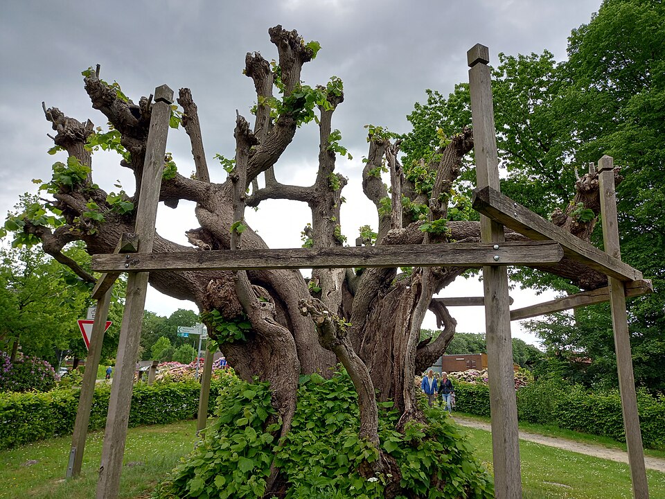 Bad Zwischenahn: Dreibergen