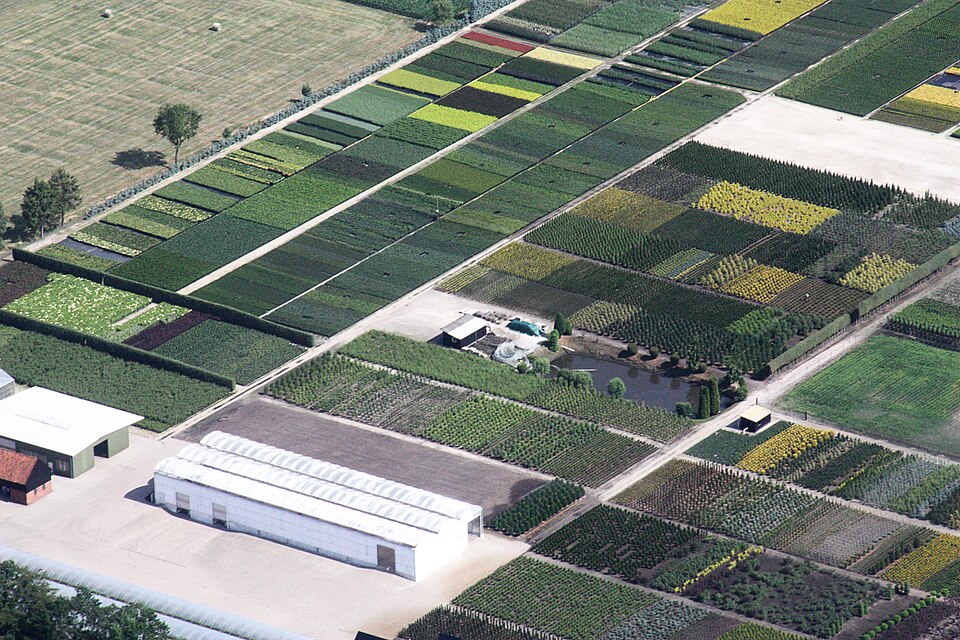 Oldenburg nach Bad Zwischenahn Landesgartenschau 18