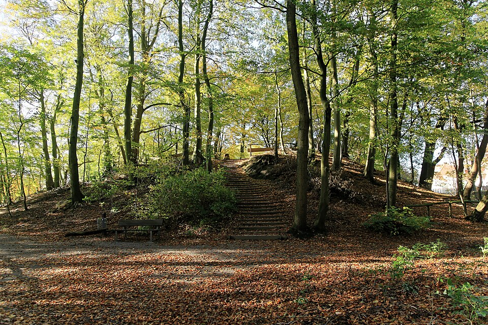Bad Zwischenahn - Dreiberger Straße - NSG Dreibergen - Burg Elmendorf - Hügel 2 01 ies