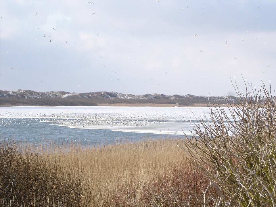 Juist: Hammersee Winter