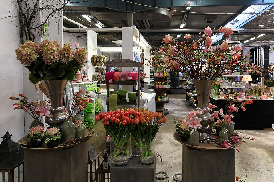 Lingen (Ems): Lingen - Darmer Hafenstraße - Emslandhallen - Gartenträume Lingen