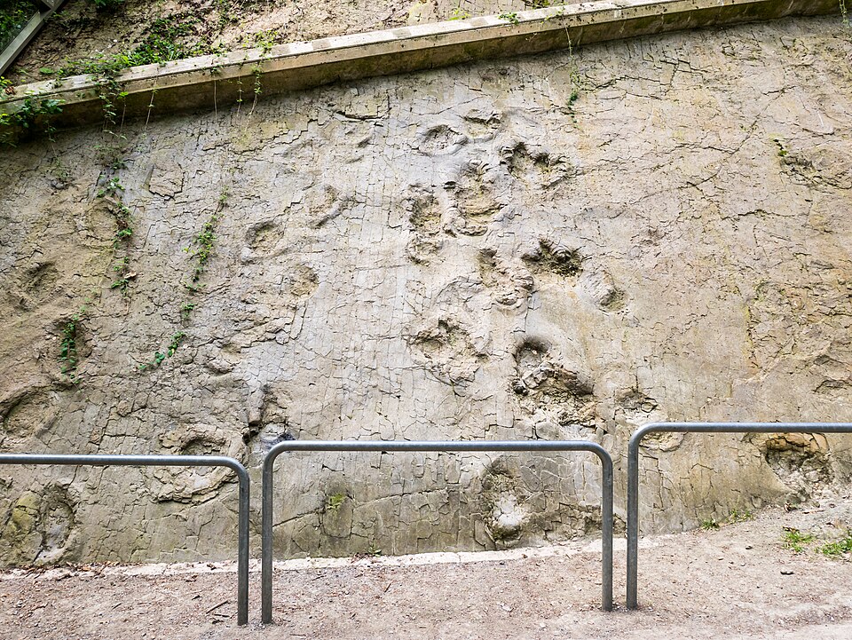 Bad Essen: Barkhausen - Saurierfährten -BT