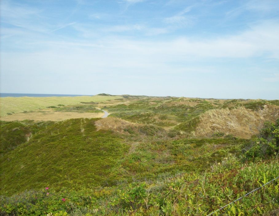 Pirolatal-langeoog