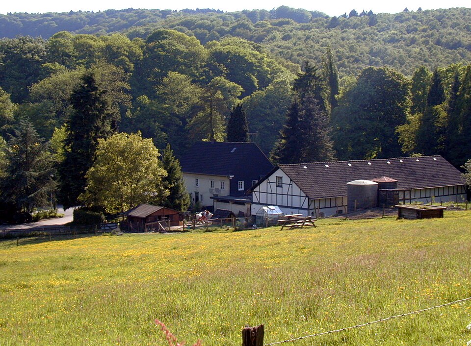 Wuppertal: Burgholz45