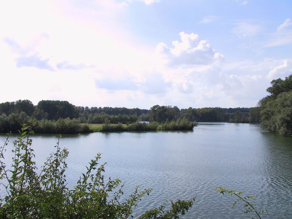 Xanten: Bislicher Insel Wasser