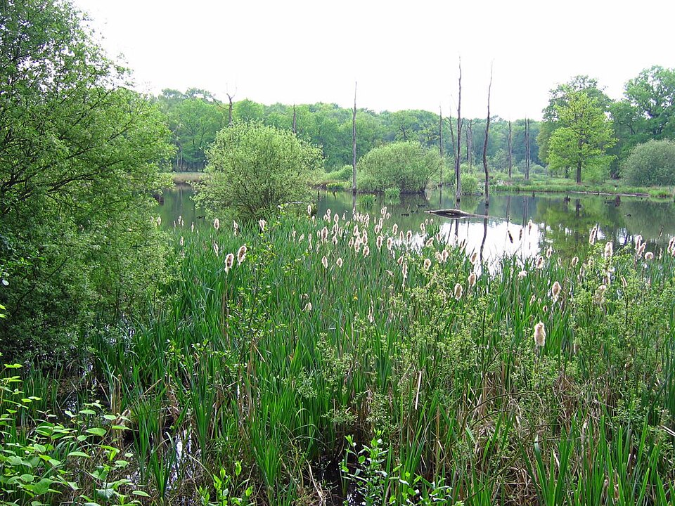 Herten: Emscherbruch2