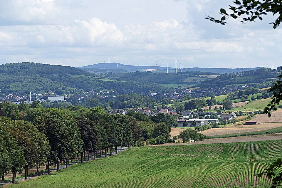 Bad Pyrmont, HM nw - Grießemer Berg - Lügde, LIP v N, L