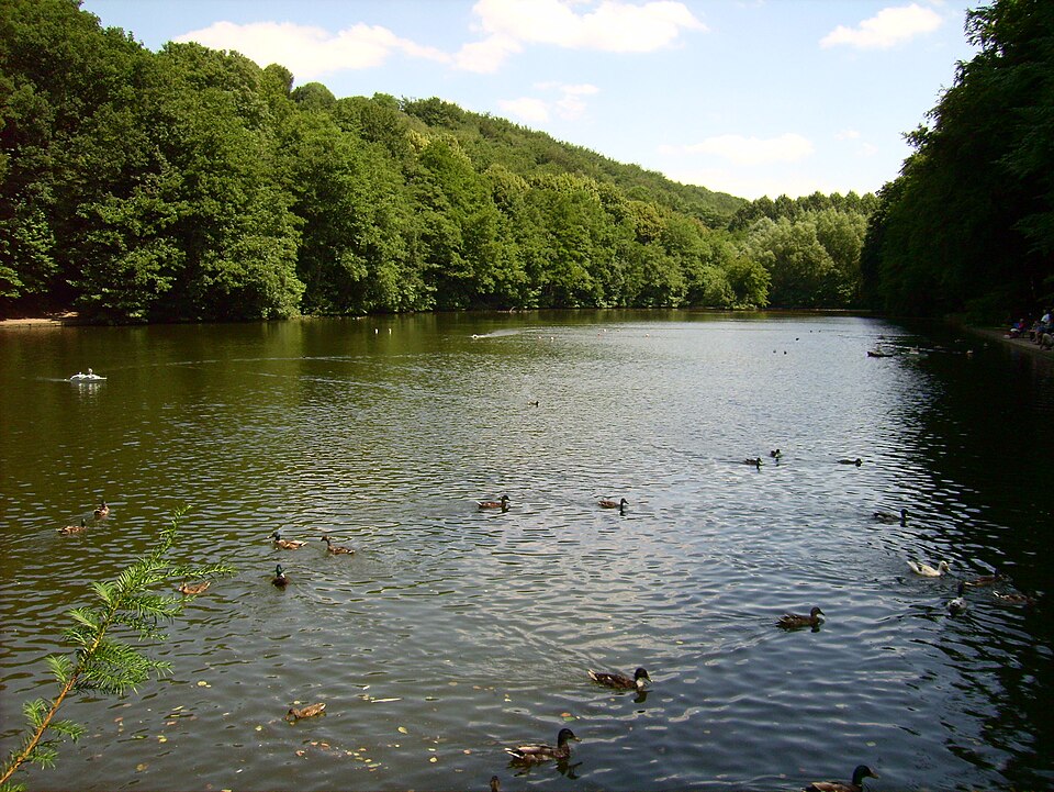 Witten: Hammerteich
