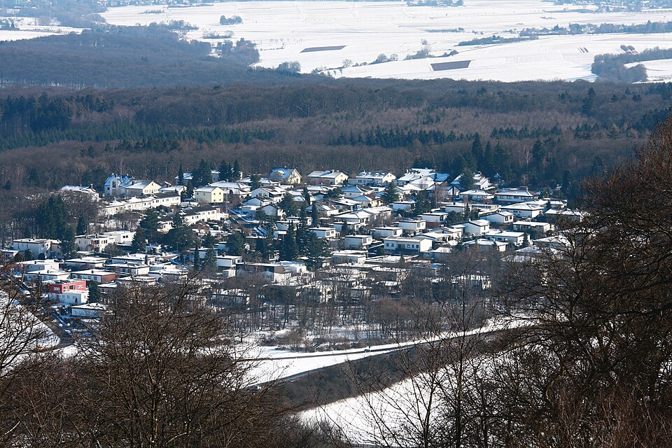 2010-03-07 Wiesbaden-Erbsenacker 01