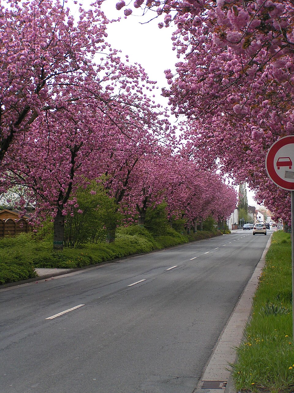 Dieburg-Aschaffenburger-Straße
