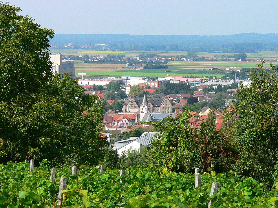 Groß-Umstadt Weinberg