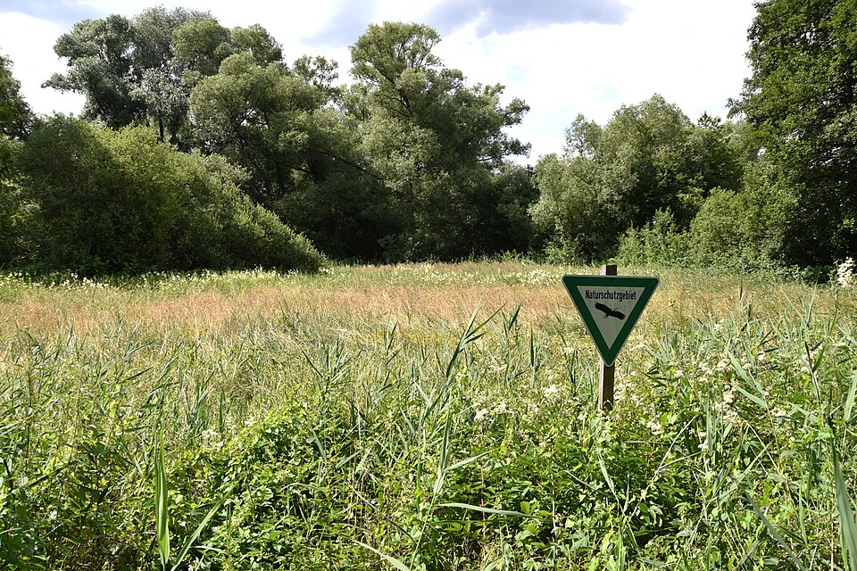 Dreieich: NSG Oberwiesen von Sprendlingen01