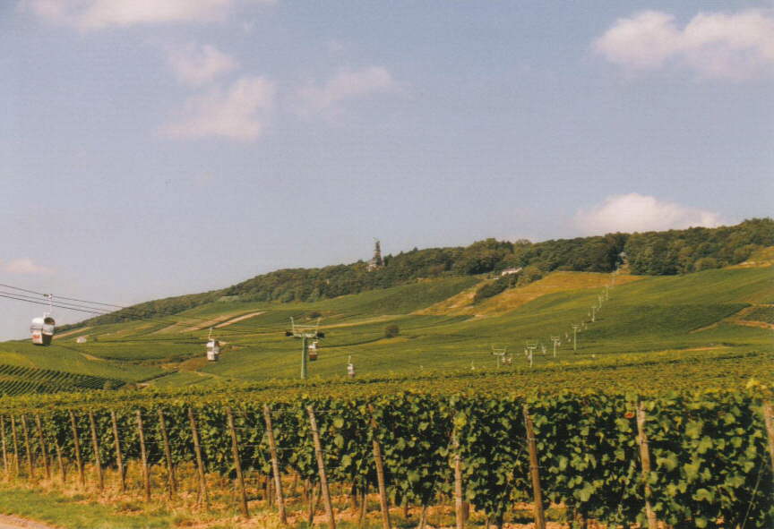 Rüdesheim am Rhein: Rüdesheim Niederwalddenkmal 3