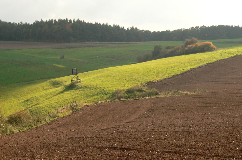 Bad Wildungen Acker
