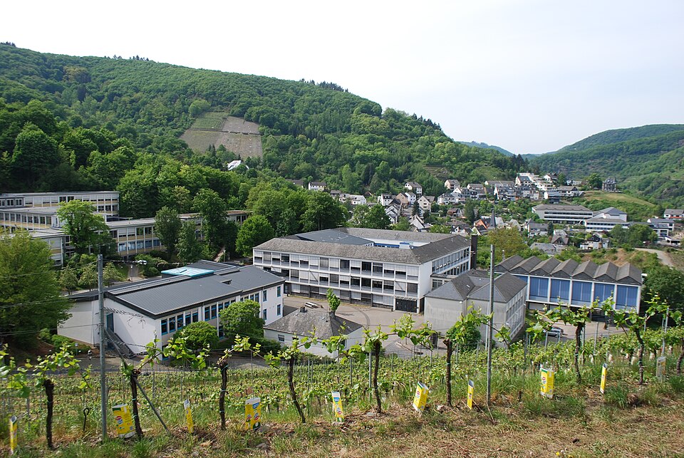 20110506 cochem08