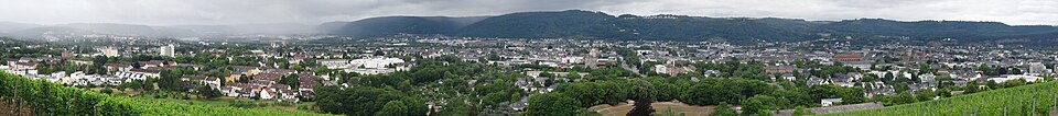 Trier Panorama vom Petrisberg