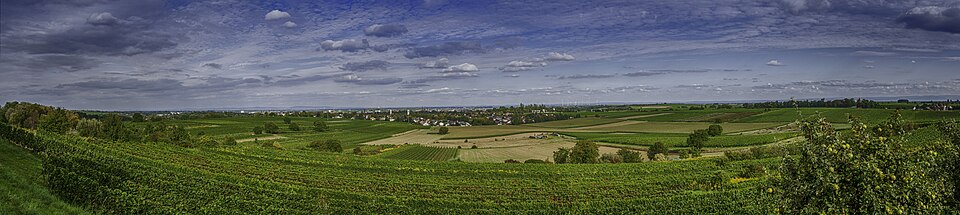 Landau in der Pfalz: A part of Landau - view Landau - panoramio