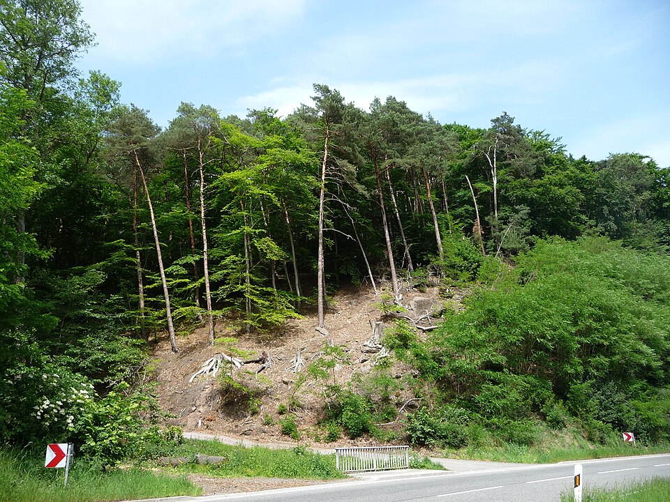 Bad Dürkheim: Jaegerthal 01
