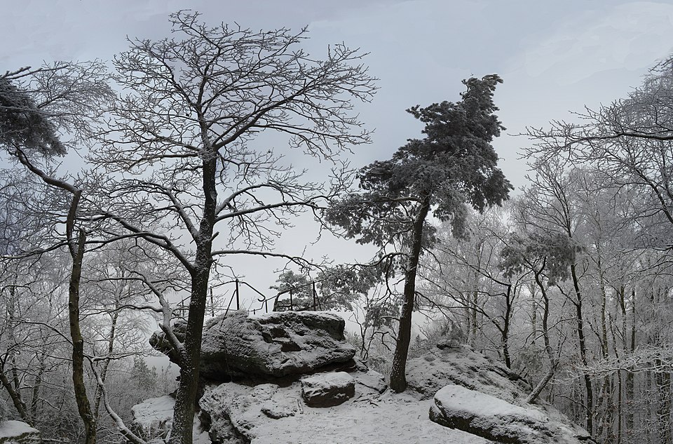 Bad Dürkheim: DrachenfelsPfalz