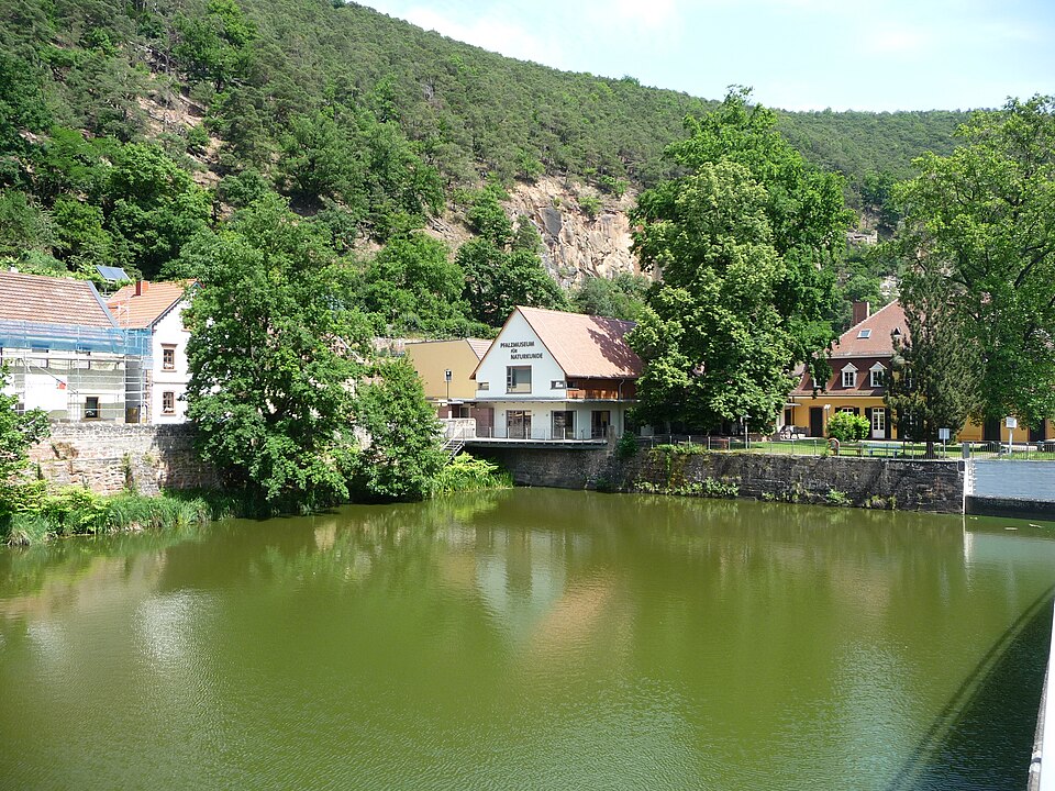 Bad Dürkheim: Herzogweiher Museum