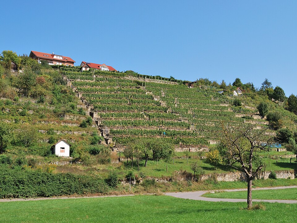 Glemstal Markgröningen