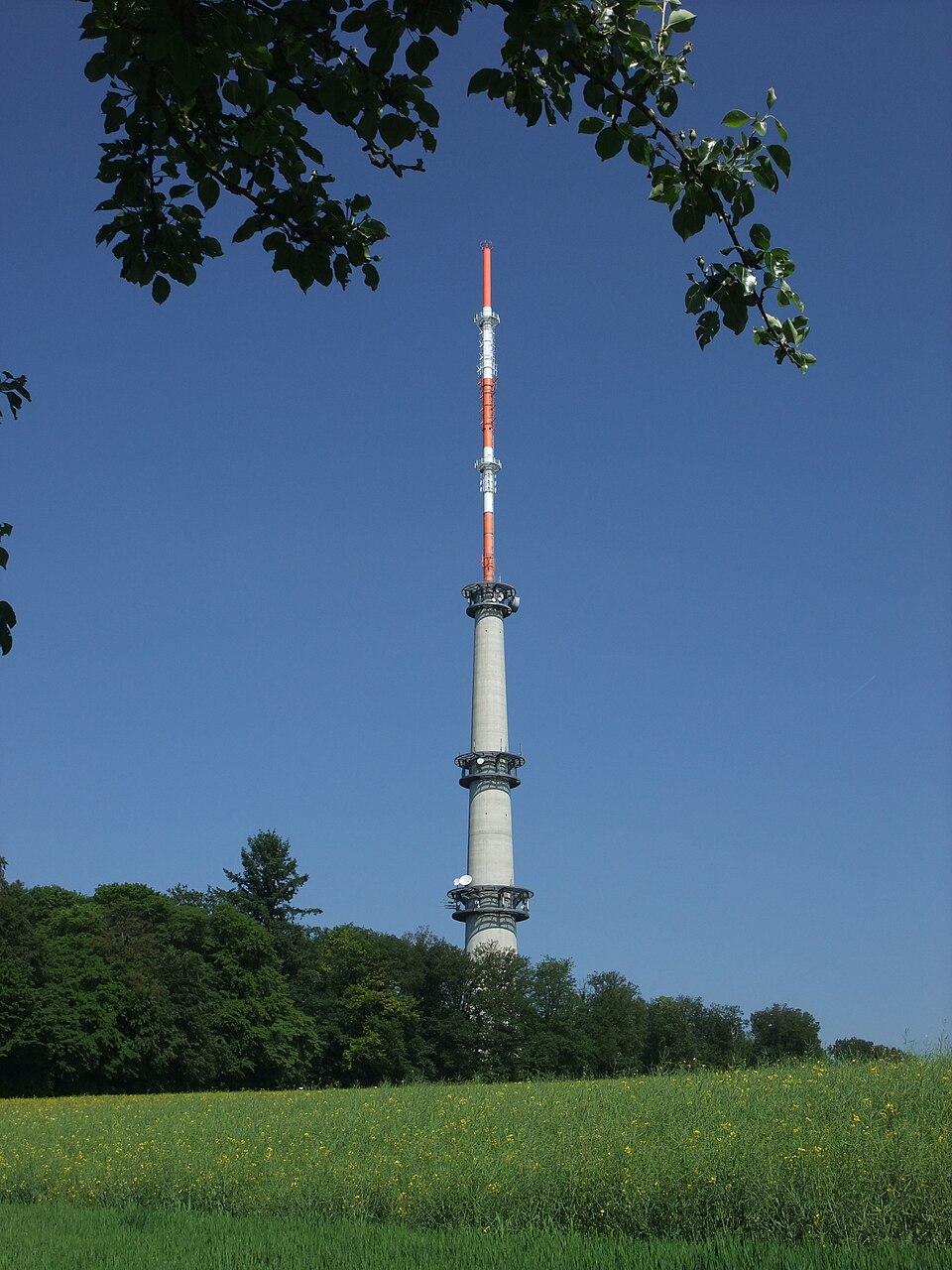 Bad Mergentheim: MGHLoeffelstelzenSWR2