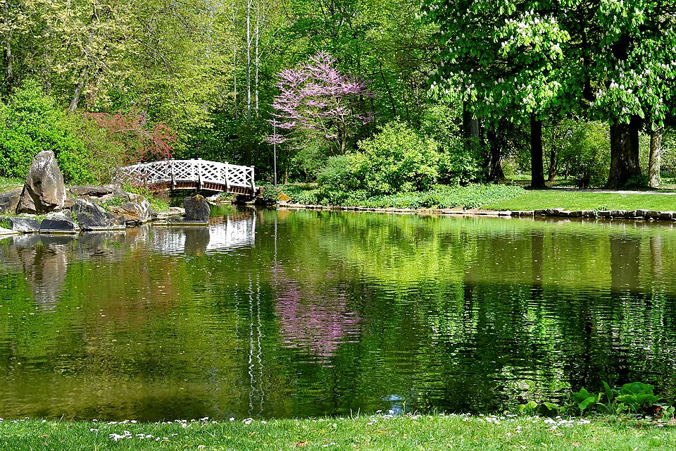 Bad Mergentheim: Frühling