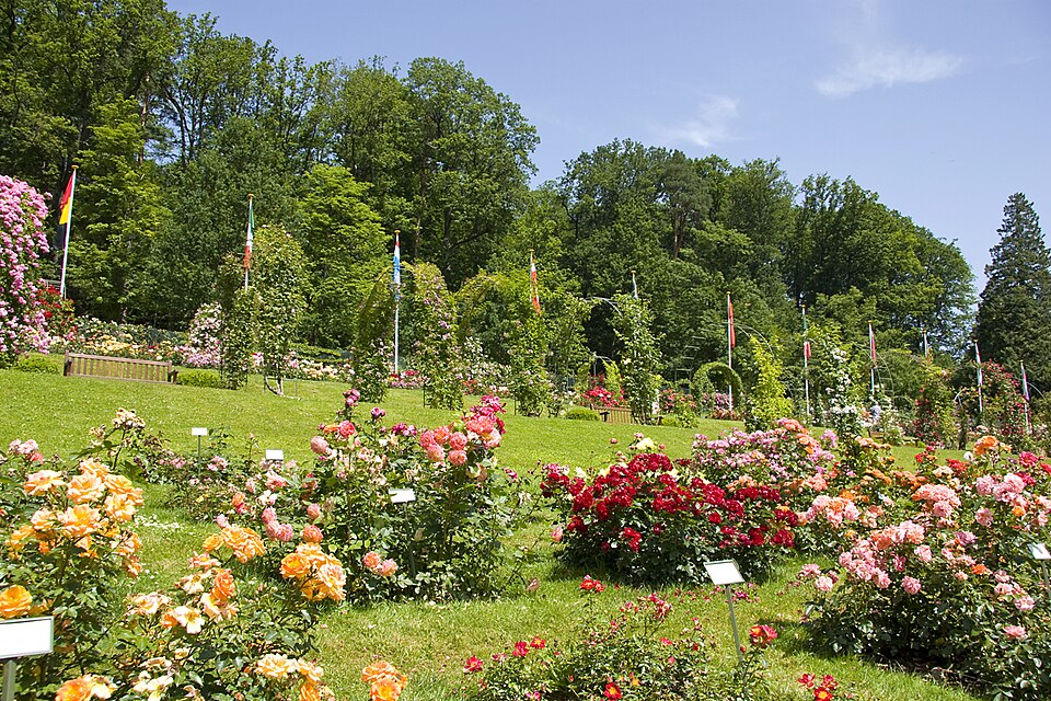 Baden-Baden Rosengarten