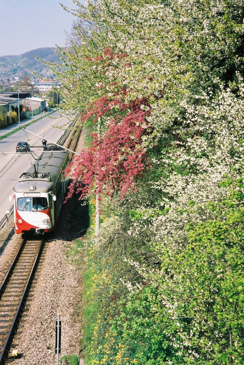 Weinheim: Mh OEG im fruehling