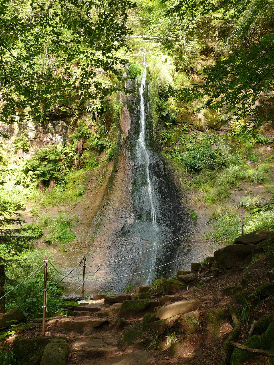 Baiersbronn: SankenbachWasserfall1