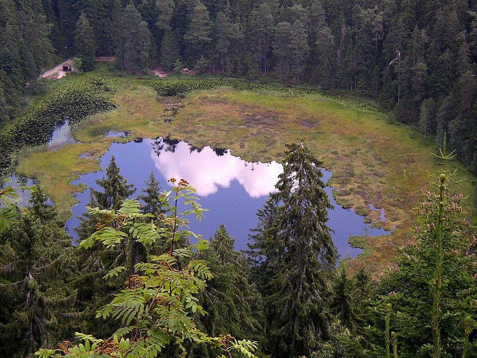 Baiersbronn: Huzenbachersee