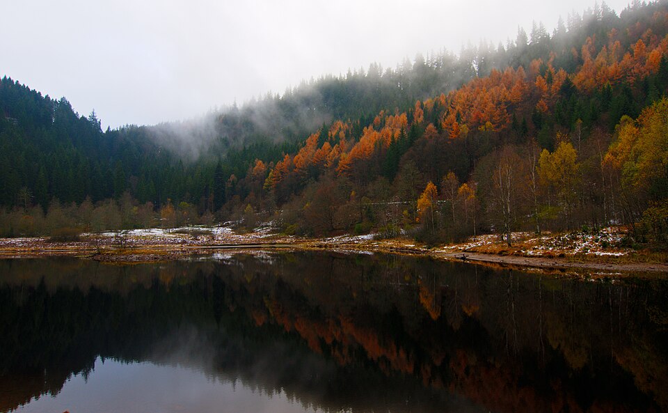 Baiersbronn: Sankenbachsee