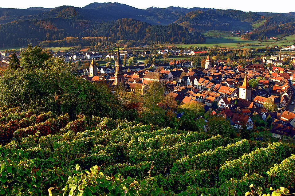 Gengenbach und der Wein. 03