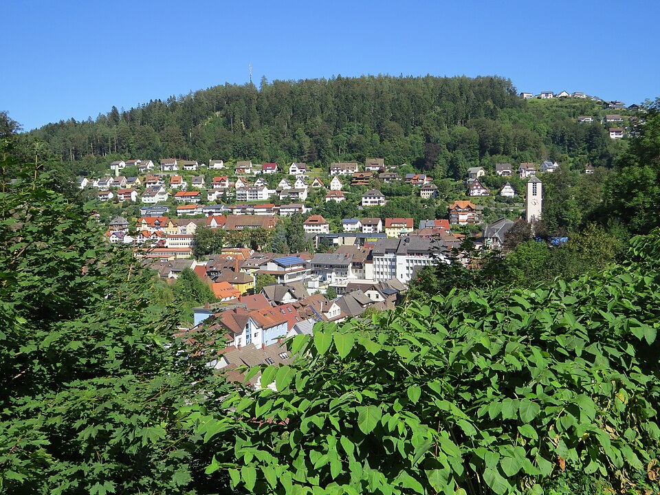 Triberg im Schwarzwald: Triberg, VS - Wallfahrtstr - Triberg v W