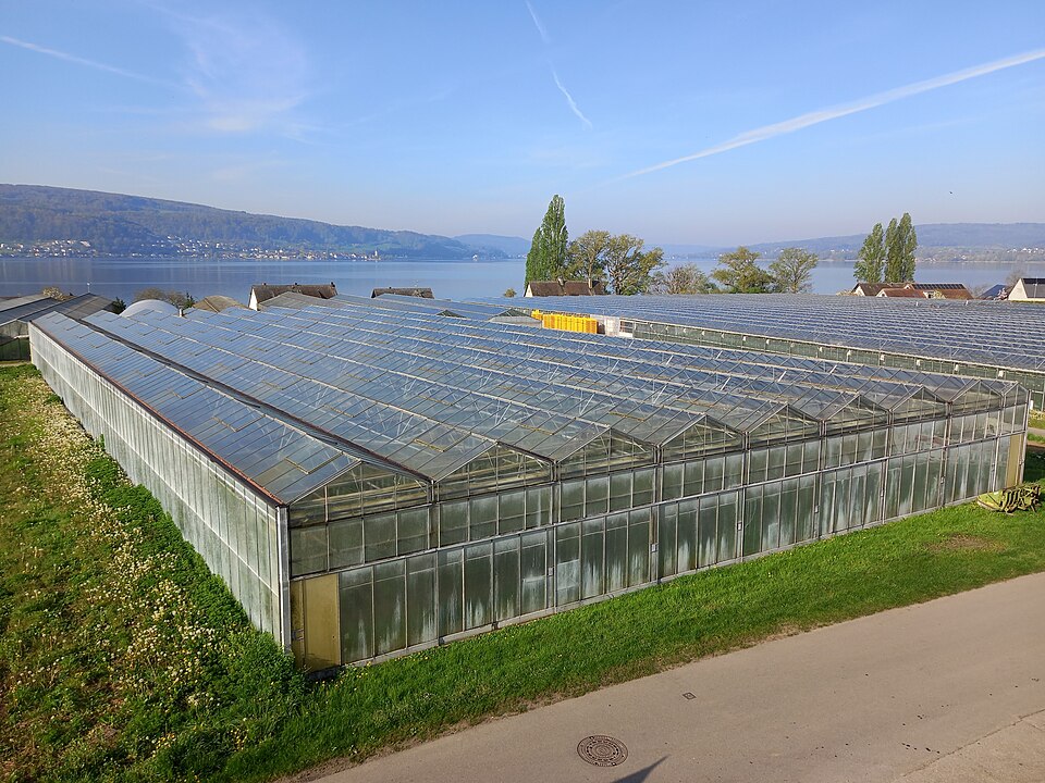 Reichenau Gewächshäuser