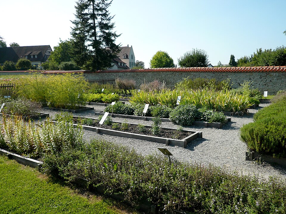 ReichenauKraeutergarten