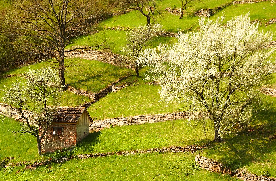 Tübingen: Tuebingen fallow landscape