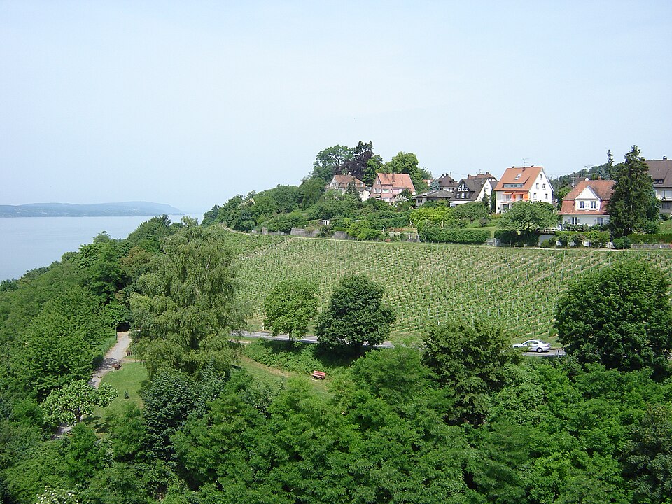 Meersburg: Deutscher Weinbau am Bodensee