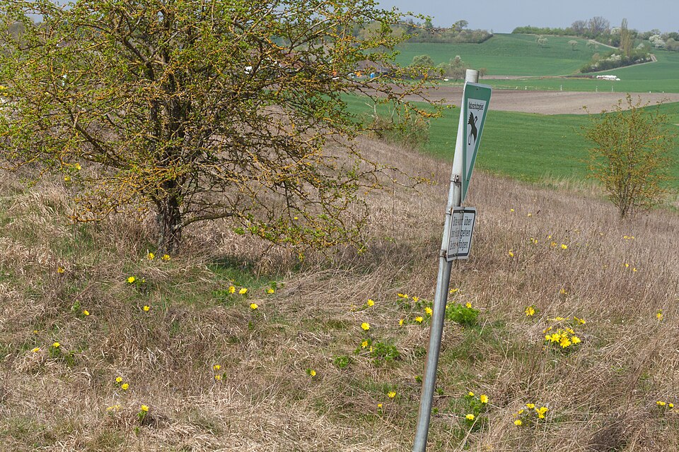Bad Windsheim: Kuelsheimer Gipshuegel 1