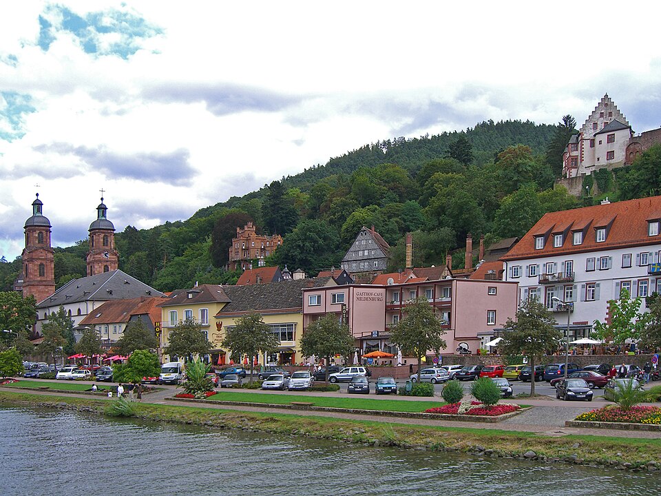 Blick auf Miltenberg
