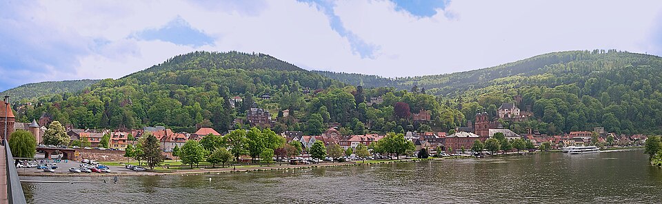 Miltenberg Panorama