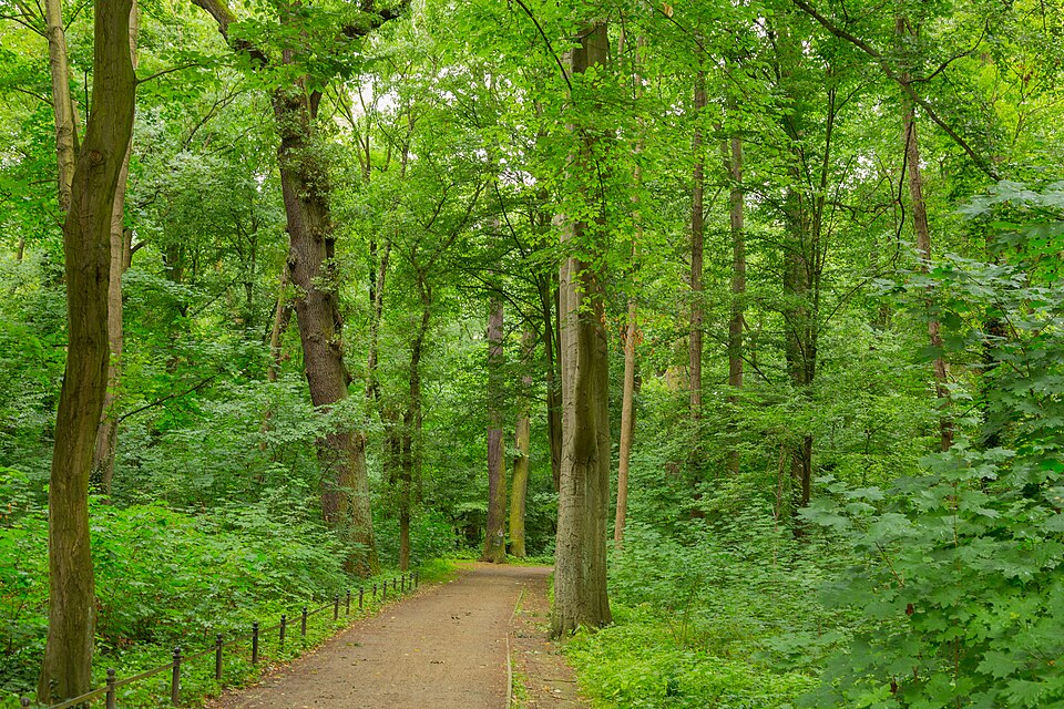 Lübben (Spreewald): Luebben Hain 33