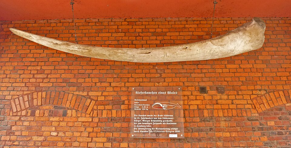 Lübbenau/Spreewald: Lübbenau-Museum-12