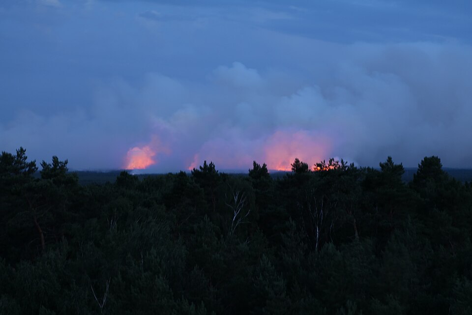 Beelitz wildfire from Wietkiekenberg observation tower