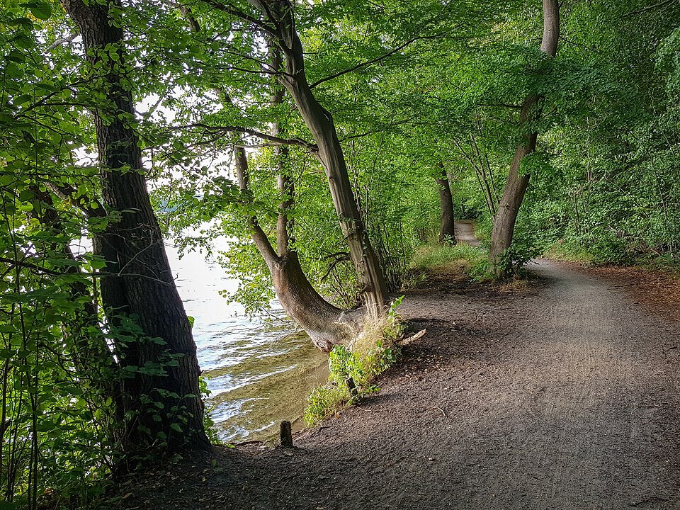Waren (Müritz): Ostufer Tiefwarensee (Waren)