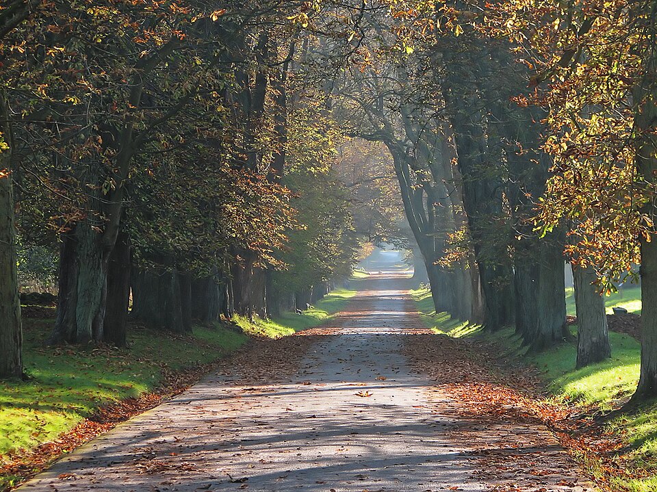 Putbus Park 5