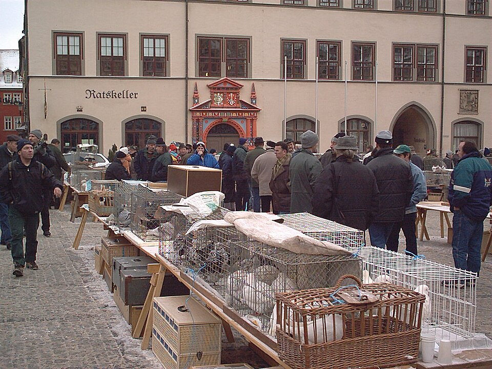 Naumburg (Saale): NaumburgerTaubenmarkt